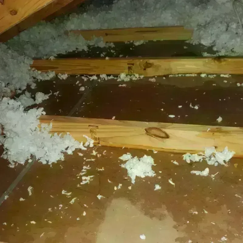 Attic Water Damage in Winter Gardens, CA